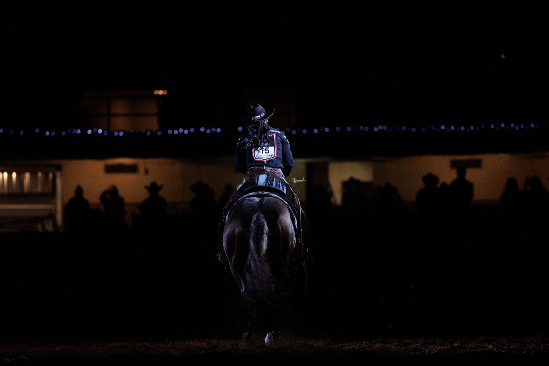 Erin Taormino and Hazardouz Material walking into the spotlight at the World's Greatest Horseman finals
